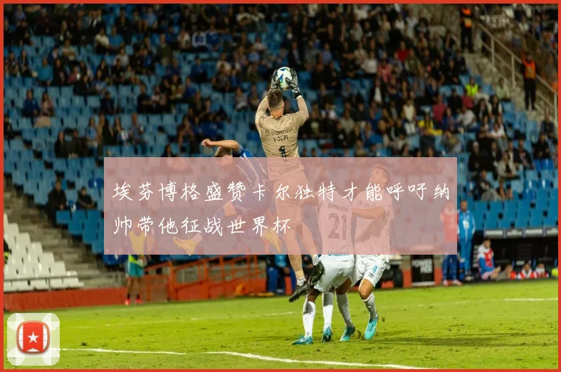 埃芬博格盛赞卡尔独特才能呼吁纳帅带他征战世界杯