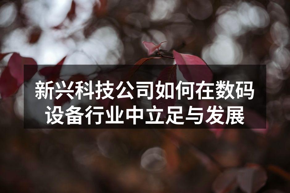 新兴科技公司如何在数码设备行业中立足与发展